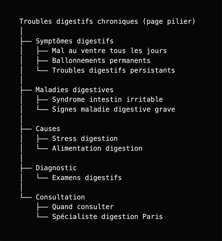 Structurez votre expertise en carte sémantique